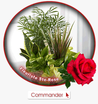 Plantes et idées cadeaux - Fleuriste Ste-Rose de Blainville