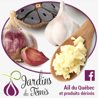 Ail du Qu&eacute;bec et Fleur d&rsquo;ail marin&eacute;e &ndash; Jardins du T&eacute;mis