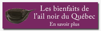 Bienfaits de l&rsquo;ail noir du Qu&eacute;bec