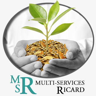 Accès aux subventions et aux crédits d'impôt pour les entreprises - Multi-Services Ricard