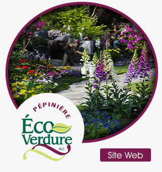 Pépinière Éco Verdure - Votre Centre de jardin Saint-Eustache