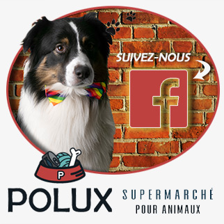 Boutique pour animaux Saint-Sauveur - Polux St-Sauveur