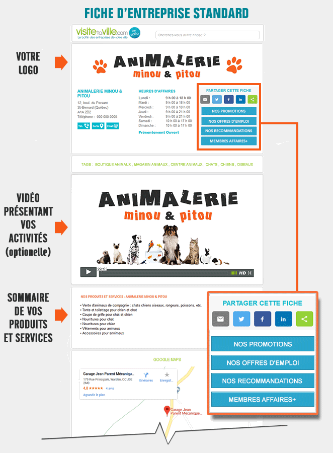 Visuel d'une fiche avant les options