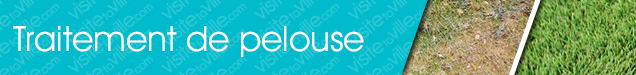 Traitement de pelouse Quebec-Duberger-Les-Saules - Visitetaville.com