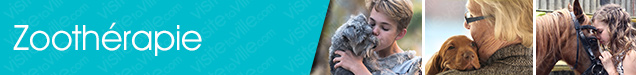 Zoothérapie Quebec-Duberger-Les-Saules - Visitetaville.com