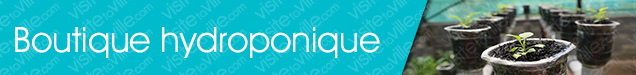 Boutique hydroponique Saint-Simeon - Visitetaville.com