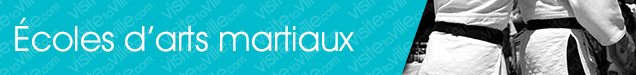 École d'arts martiaux Scott - Visitetaville.com