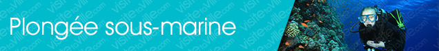 Boutique de plongée sous-marine Grande-Riviere - Visitetaville.com