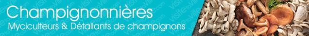 Champignonnière Perce - Visitetaville.com