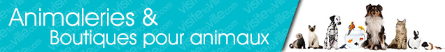 Animalerie Amherst - Visitetaville.com