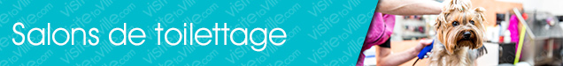 Toilettage Amherst - Visitetaville.com