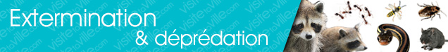 Extermination Huberdeau - Visitetaville.com