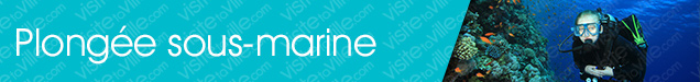 Boutique de plongée sous-marine La-Minerve - Visitetaville.com