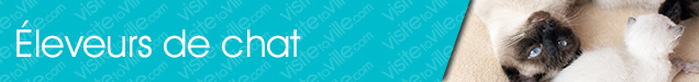 Éleveur de chat Labelle - Visitetaville.com