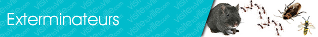 Exterminateur Val-David - Visitetaville.com