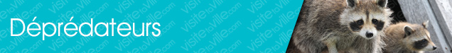 Déprédation Louiseville - Visitetaville.com
