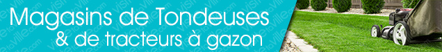 Tondeuse Bromont - Visitetaville.com