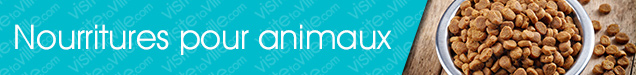 Nourriture pour chien Montreal-Anjou - Visitetaville.com