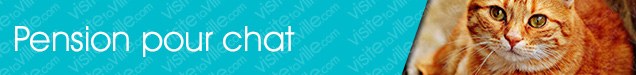 Pension pour chat Montreal-Anjou - Visitetaville.com