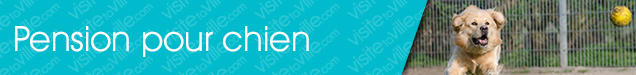 Pension pour chien Montreal-Sainte-Anne-de-Bellevue - Visitetaville.com