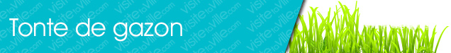 Tonte de gazon Otter-Lake - Visitetaville.com