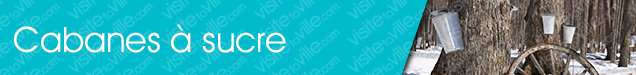 Cabane à sucre Shawville - Visitetaville.com