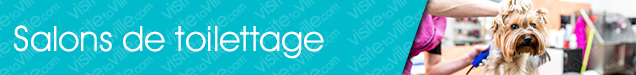 Toilettage Boisbriand - Visitetaville.com
