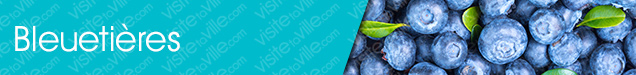 Bleuetière et autocueillette de bleuets Rosemere - Visitetaville.com