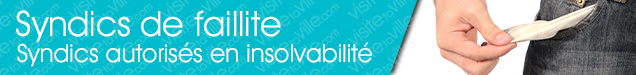 Syndic de faillite Rosemere - Visitetaville.com
